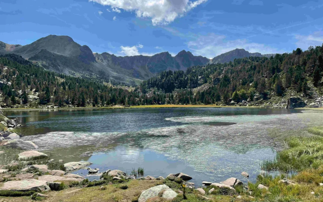 Escapadas en Andorra Alquiler furgonetas Fandos Rent