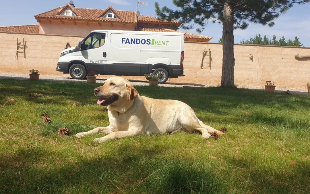 El turismo en España crece con más sostenibilidad y calidad en 2024 FANDOS Rent